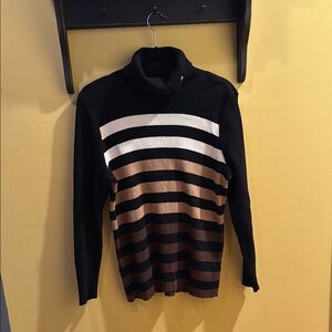 Striped Turtleneck Sweater